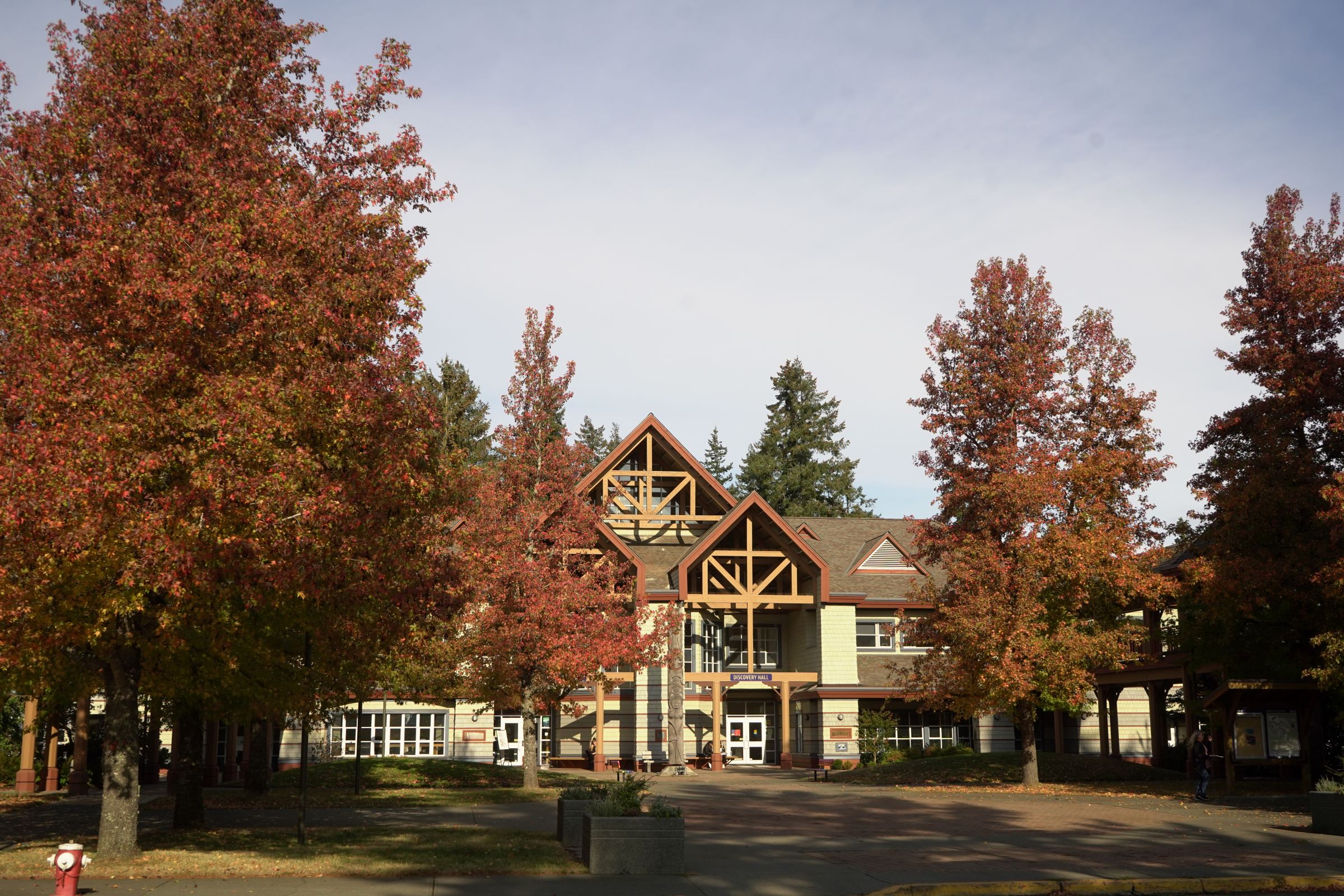 North Island College feature image